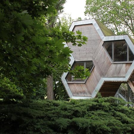 Gruene Wiek Wabenhausherberge Beckerwitz Gramkow Exterior foto