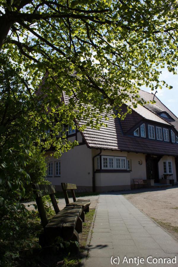 Gruene Wiek Wabenhausherberge Beckerwitz Gramkow Exterior foto