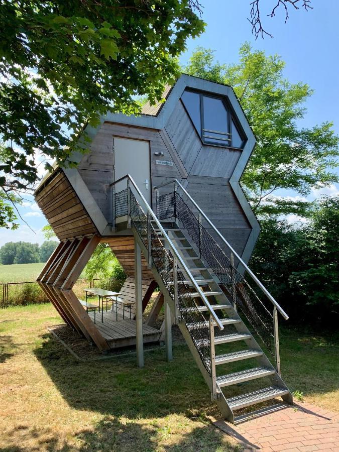 Gruene Wiek Wabenhausherberge Beckerwitz Gramkow Exterior foto