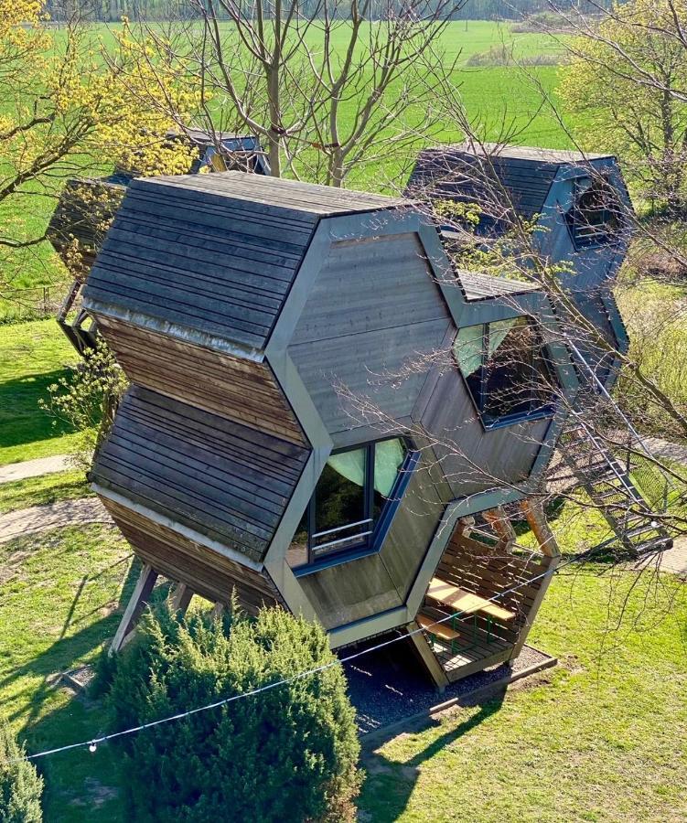 Gruene Wiek Wabenhausherberge Beckerwitz Gramkow Exterior foto